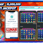 Your paragraph text (1)