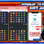 Your paragraph text (6)