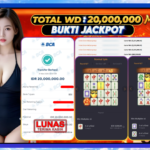 Your paragraph text (11)