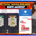 Your paragraph text (13)